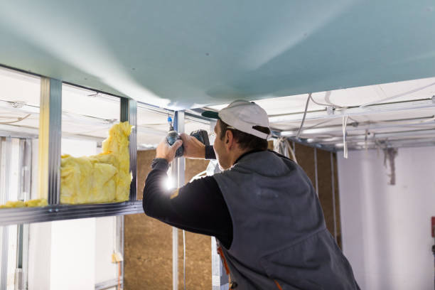 Best Insulation for Commercial Buildings  in Paonia, CO