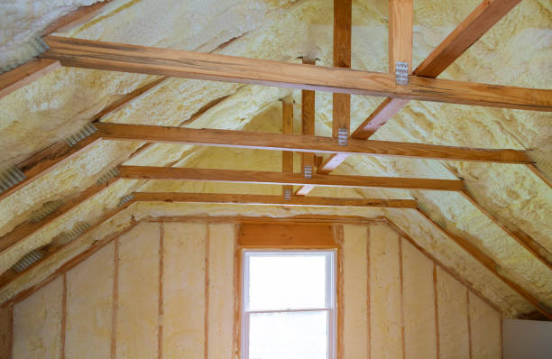 Best Cellulose Insulation  in Paonia, CO