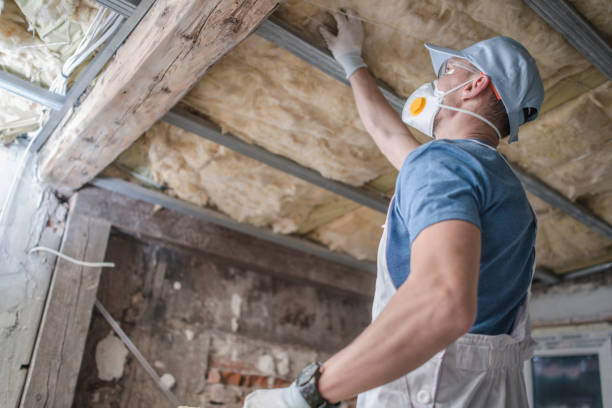 Best Home Insulation Services  in Paonia, CO
