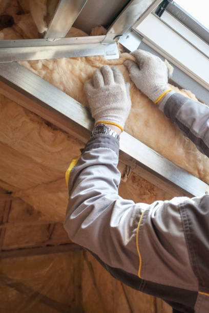 Best Residential Insulation Services  in Paonia, CO