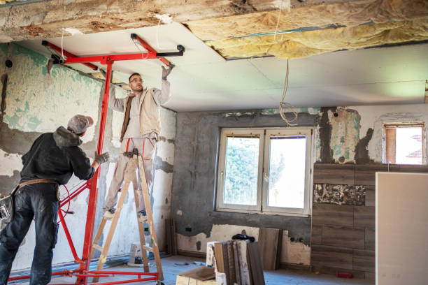 Best Attic Insulation Installation  in Paonia, CO