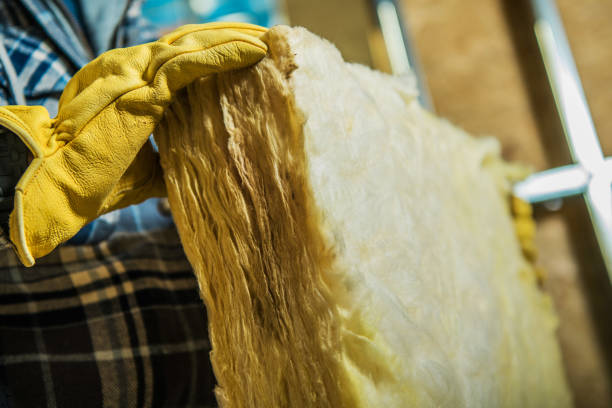 Best Local Insulation Services  in Paonia, CO