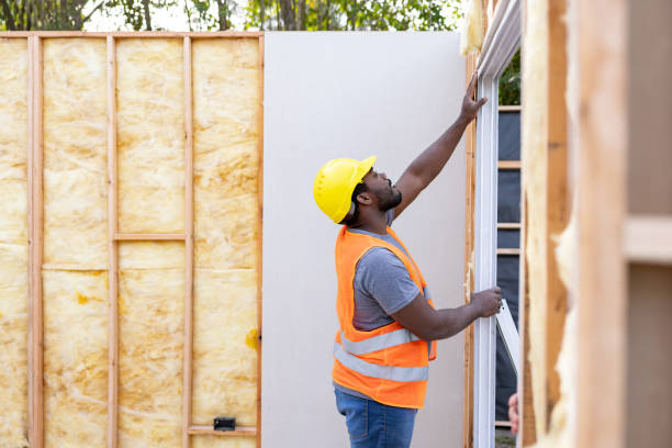 Best Insulation Repair Services  in Paonia, CO