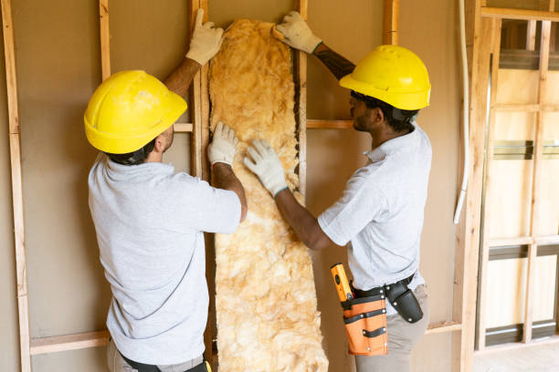 Best Commercial Insulation Contractor  in Paonia, CO