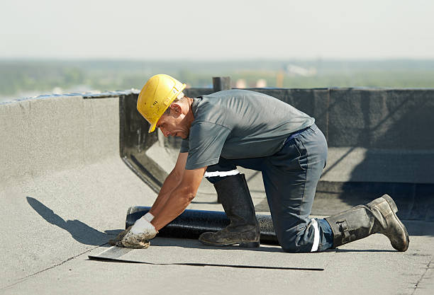 Best Insulation Repair Services  in Paonia, CO