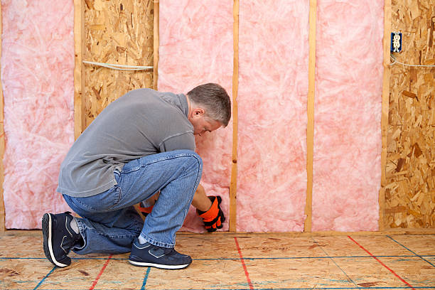 Best Spray Foam Insulation  in Paonia, CO