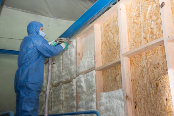 Best Wall Insulation Contractor  in Paonia, CO