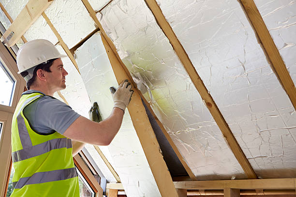 Best Insulation Inspection Services  in Paonia, CO