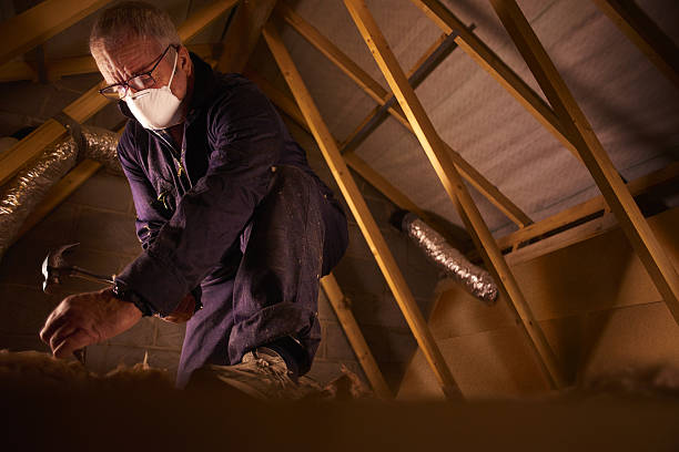 Best Soundproof Insulation Installation  in Paonia, CO