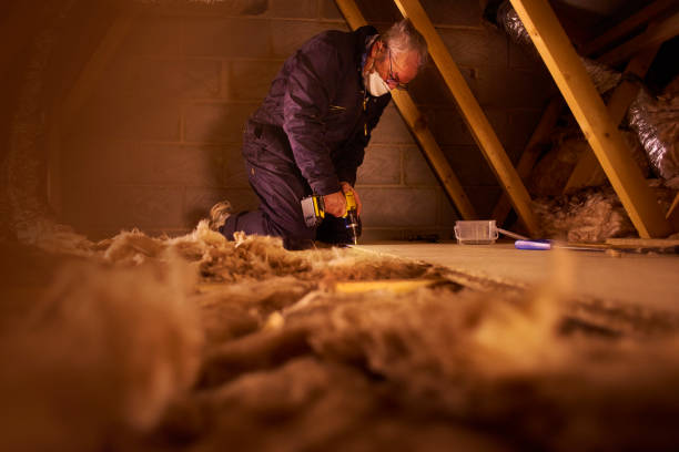 Best Residential Insulation Services  in Paonia, CO