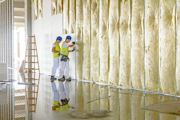 Best Blown-in Insulation  in Paonia, CO